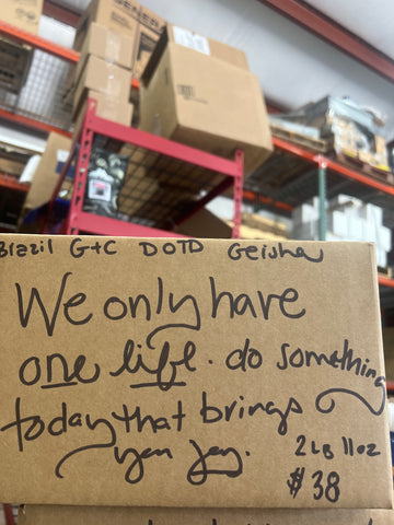REMNANT SALE!! Braz GC DOTD GEISHA 2lb 11oz