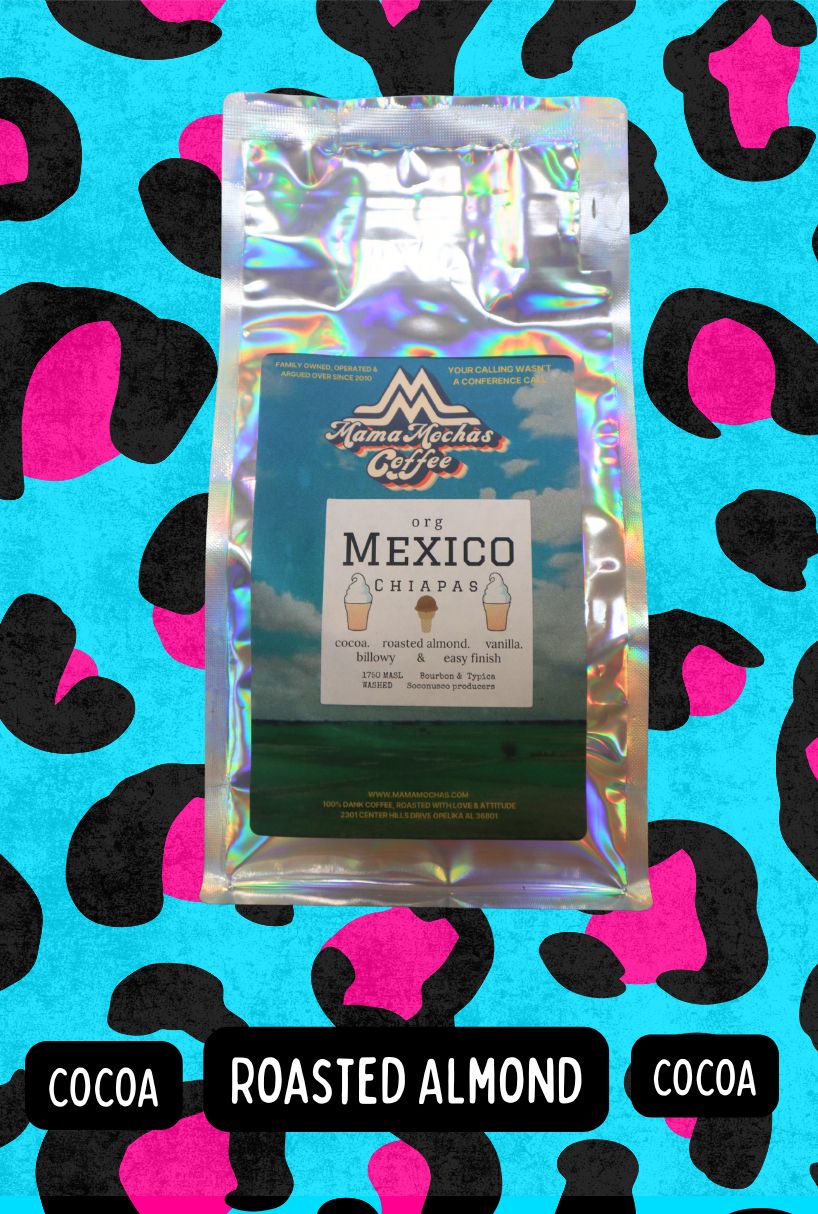 ORG Mexico Chiapas