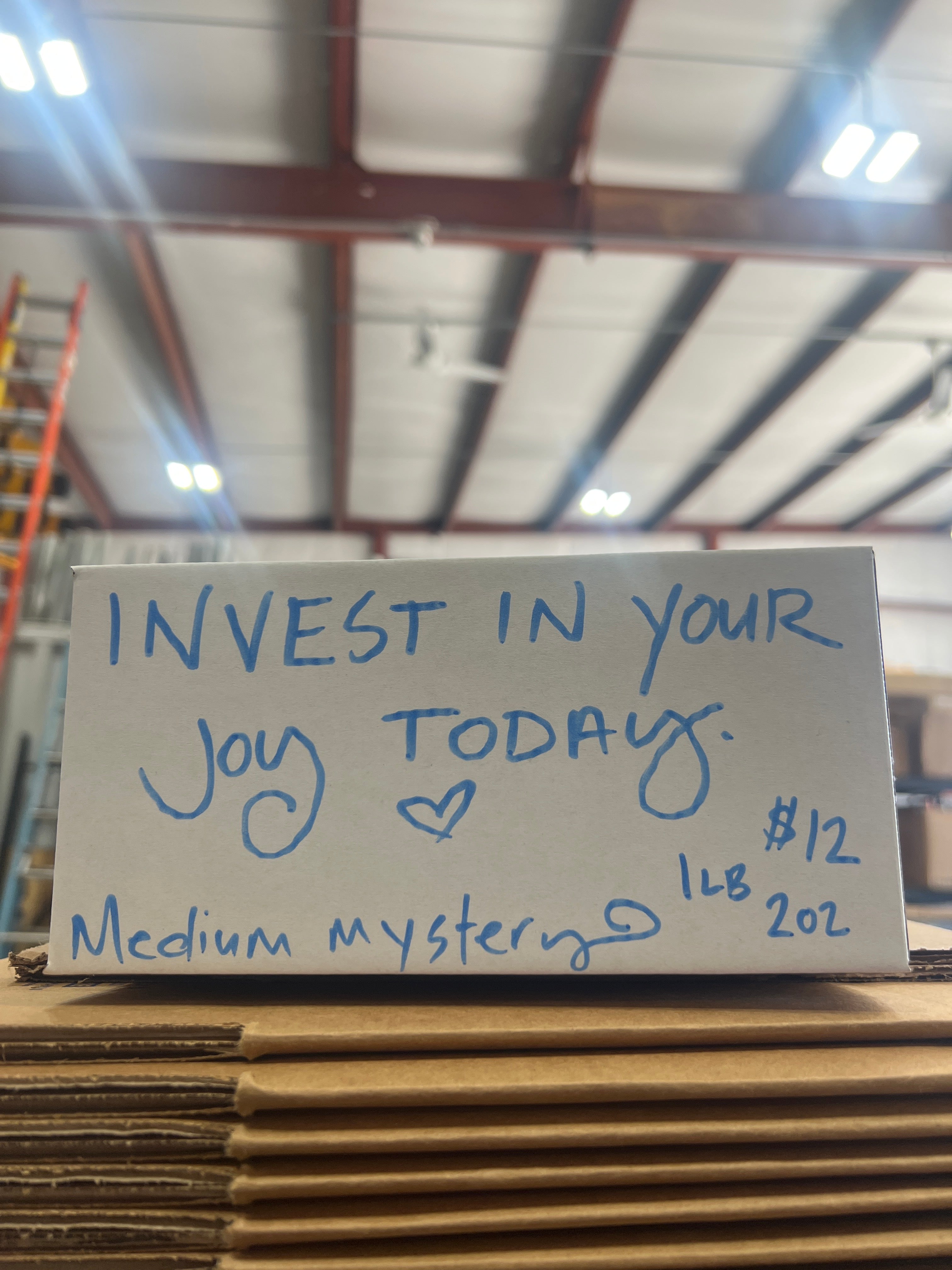 Medium mystery box